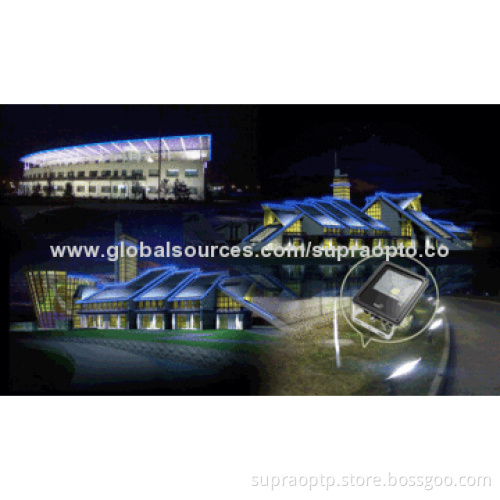 10W LED Floodlights, IP65, 85-265V AC or 12-24V DC, 900-1100lm, CE/RoHS, SAA, TUV, Marks